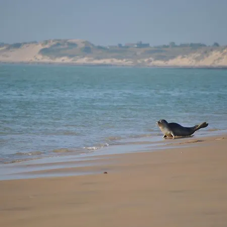 Apartman Oyats Baie Groffliers