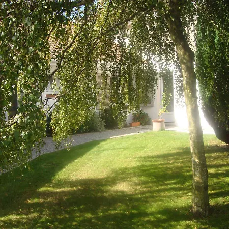 Oyats Baie * Groffliers