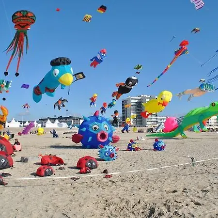 Oyats Baie Groffliers